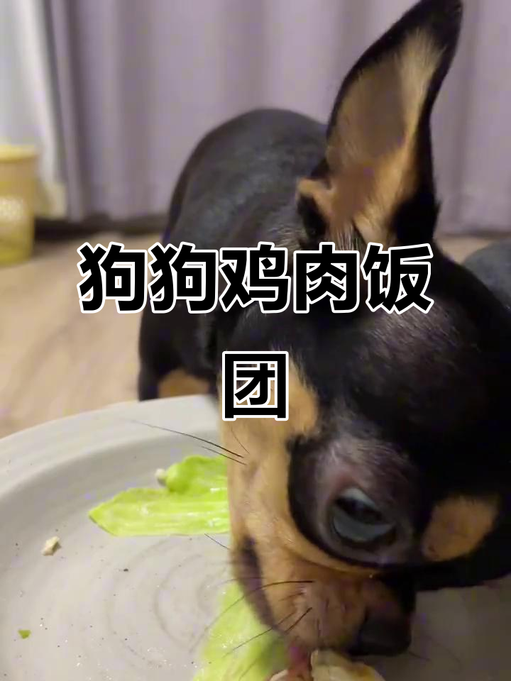 小狗菜馆鸡肉火腿鹌鹑蛋饭团,超美味!