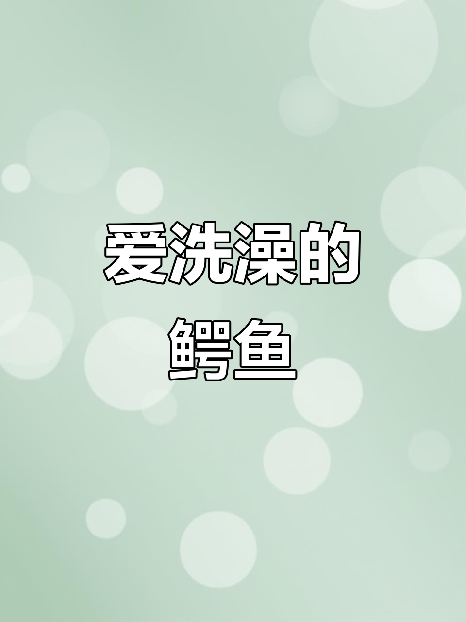 鳄鱼小顽皮爱洗澡,一起摸摸小鱼!