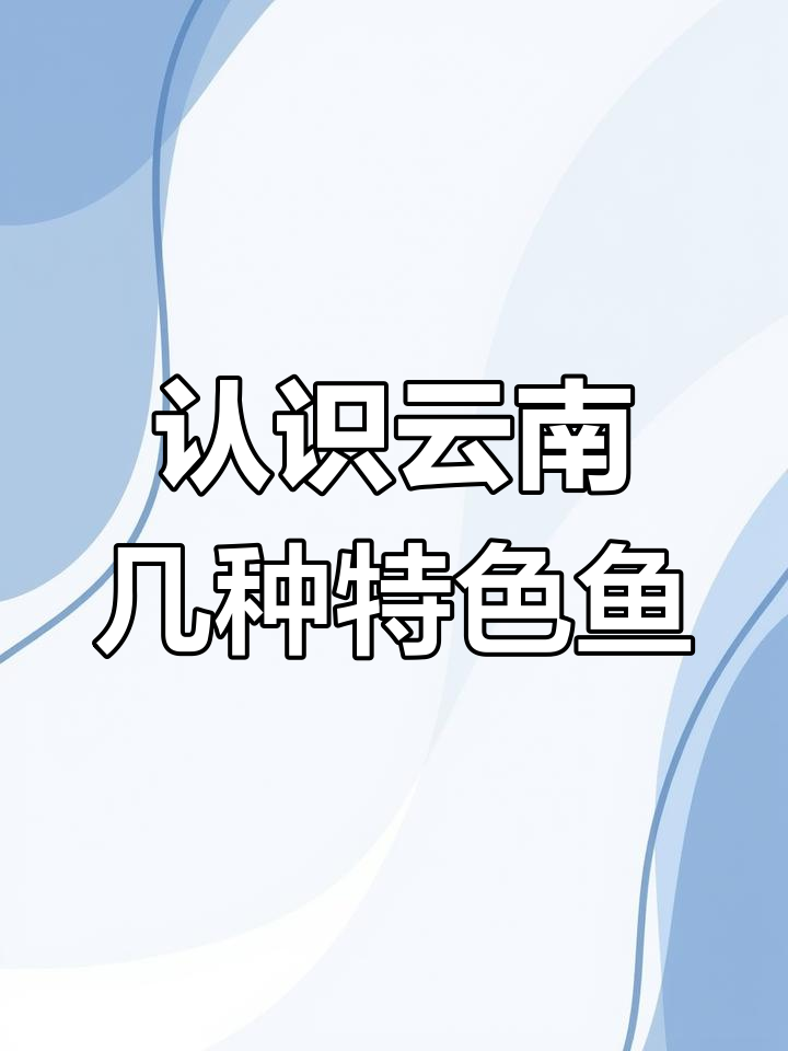 云南野生鱼大揭秘,这些美味你尝过吗?