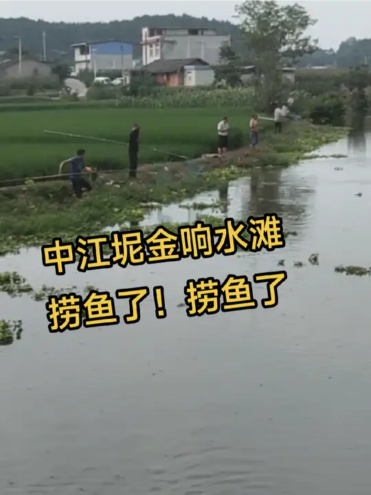 中江坭金响水滩鱼儿受热,众多人前来捞鱼!
