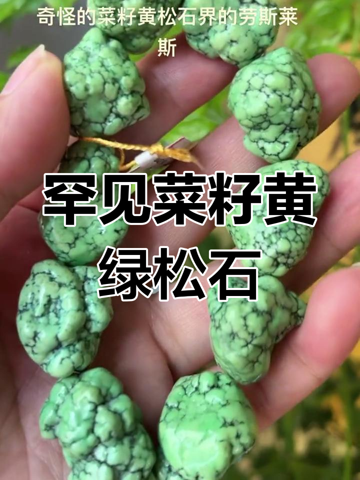 稀有菜籽黄绿松石,五千年形成的美丽宝藏
