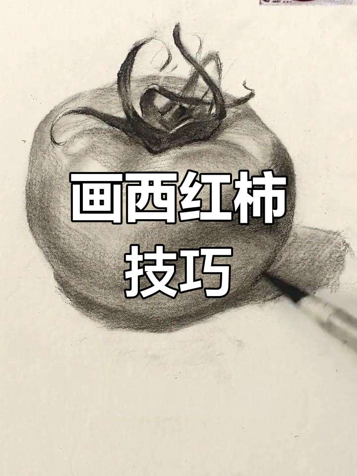 西红柿素描基础教程,掌握结构与光影