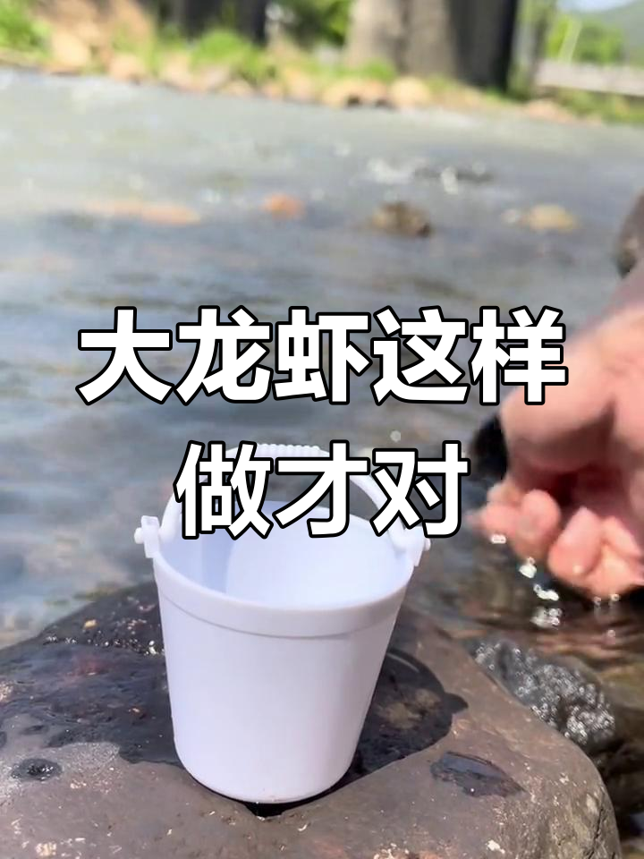 澳洲大龙虾的绝妙做法,吃了都说好