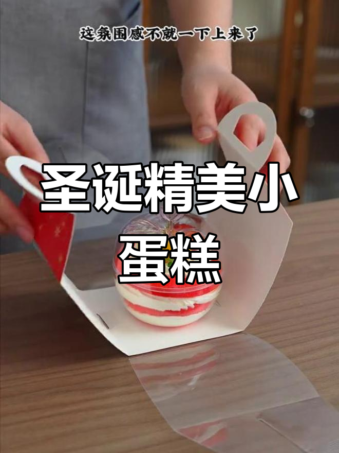 圣诞送礼首选,精致小蛋糕,手提设计既美观又实用