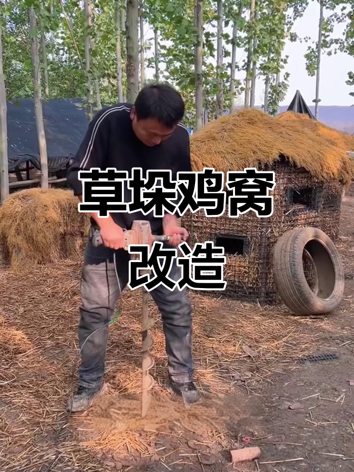 草垛鸡窝创意设计，简单材料打造温馨家园
