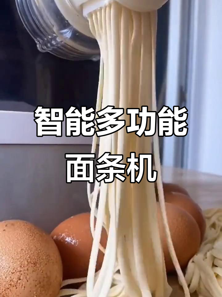 多功能电动面条机,轻松做出各种美味面食