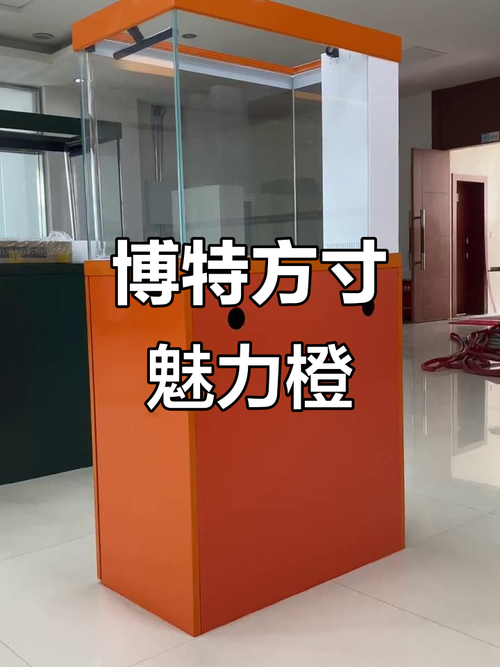 博特魅影橙龙鱼缸,心想事成,水族新体验