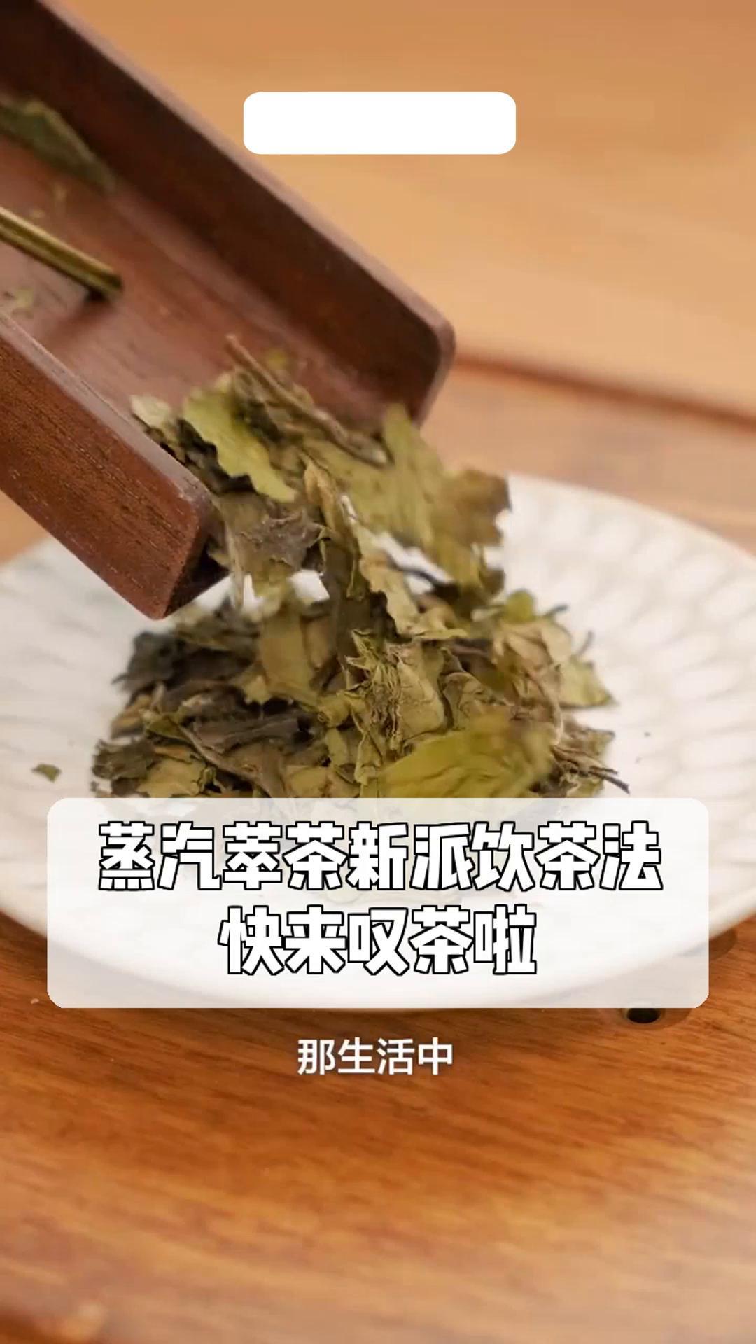 蒸汽萃茶新派饮茶法,快来叹茶啦