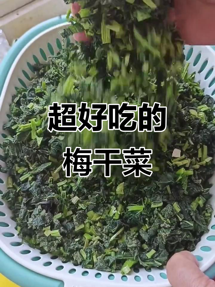 晒干苔菜变美味,简单步骤教你做包子馅