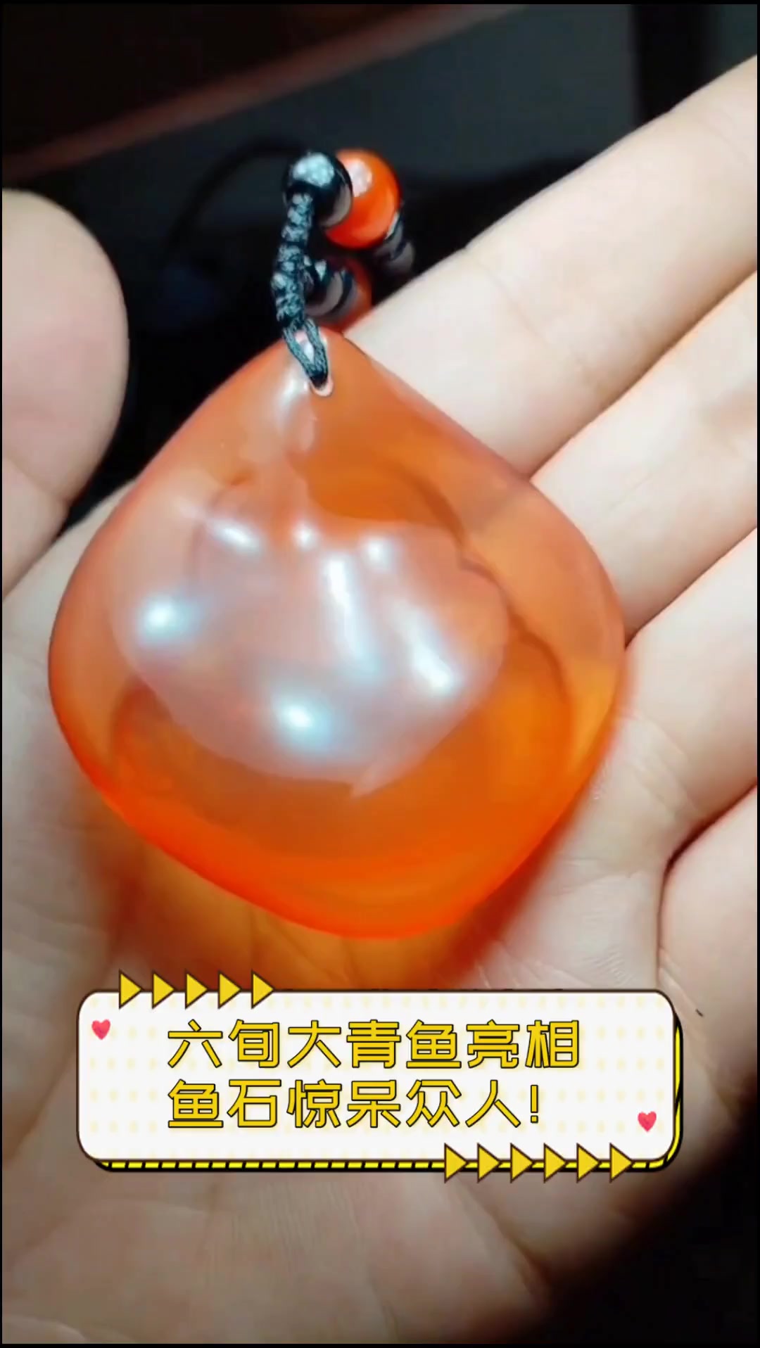 六旬大青鱼亮相,鱼石惊呆众人!