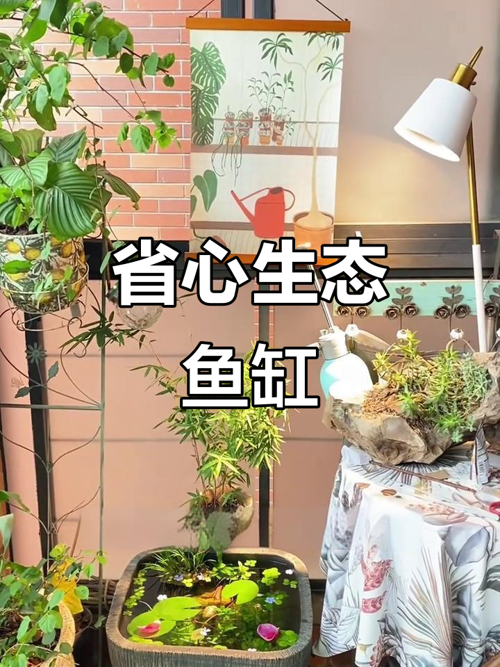 懒人必备!轻松打造生态鱼缸,告别绿藻烦恼