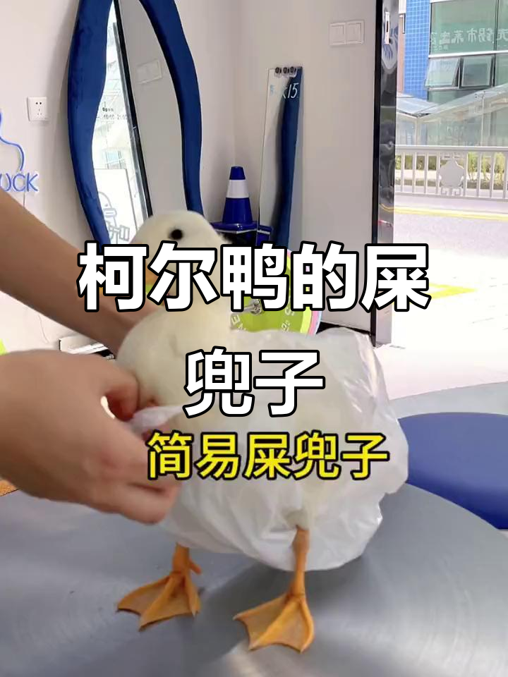 小鸭子随地拉粑粑?这个袋子轻松解决!