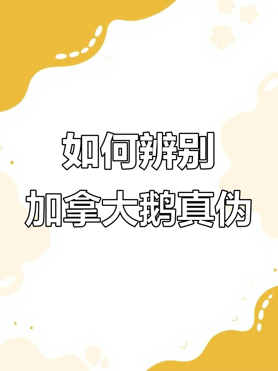 加拿大鹅真假难辨？这些细节你得知道