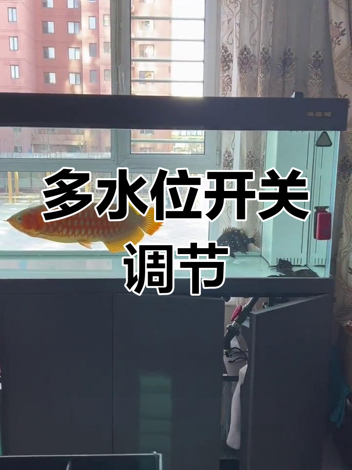 满堂红鱼缸水泵加水技巧