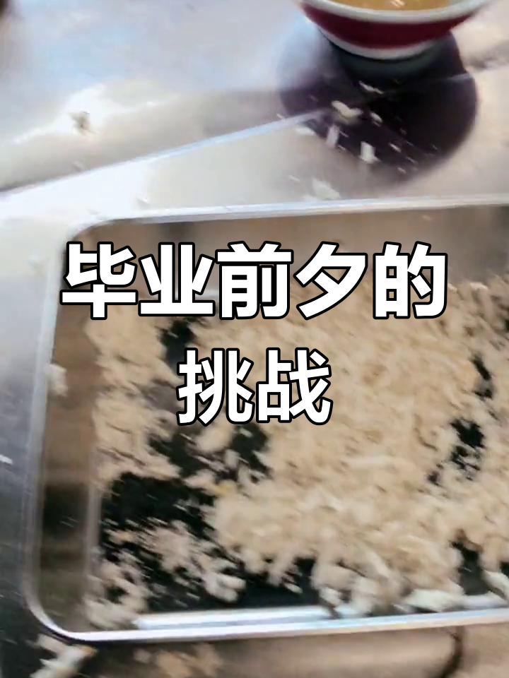 学员即将毕业,炸鸡排摆盘大比拼!