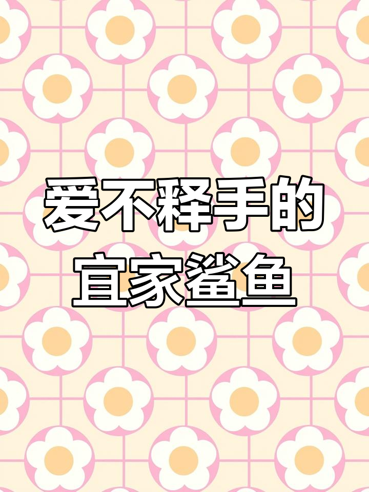 宜家鲨鱼毛绒玩具,抱睡新宠