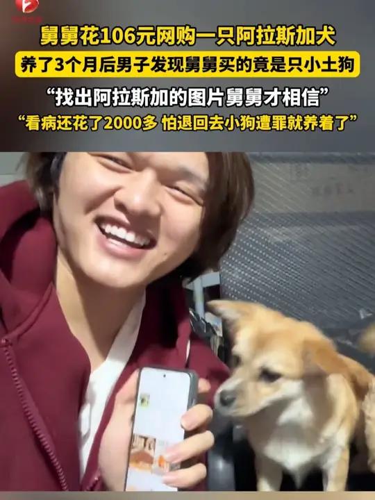 舅舅花106元网购一只阿拉斯加犬,养了三个月后,男子到舅舅家串门,看到竟然是这样一只小狗,