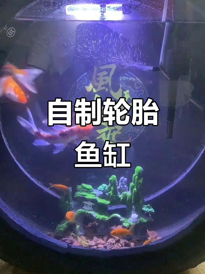 纯手工打造轮胎鱼缸，创意满分！