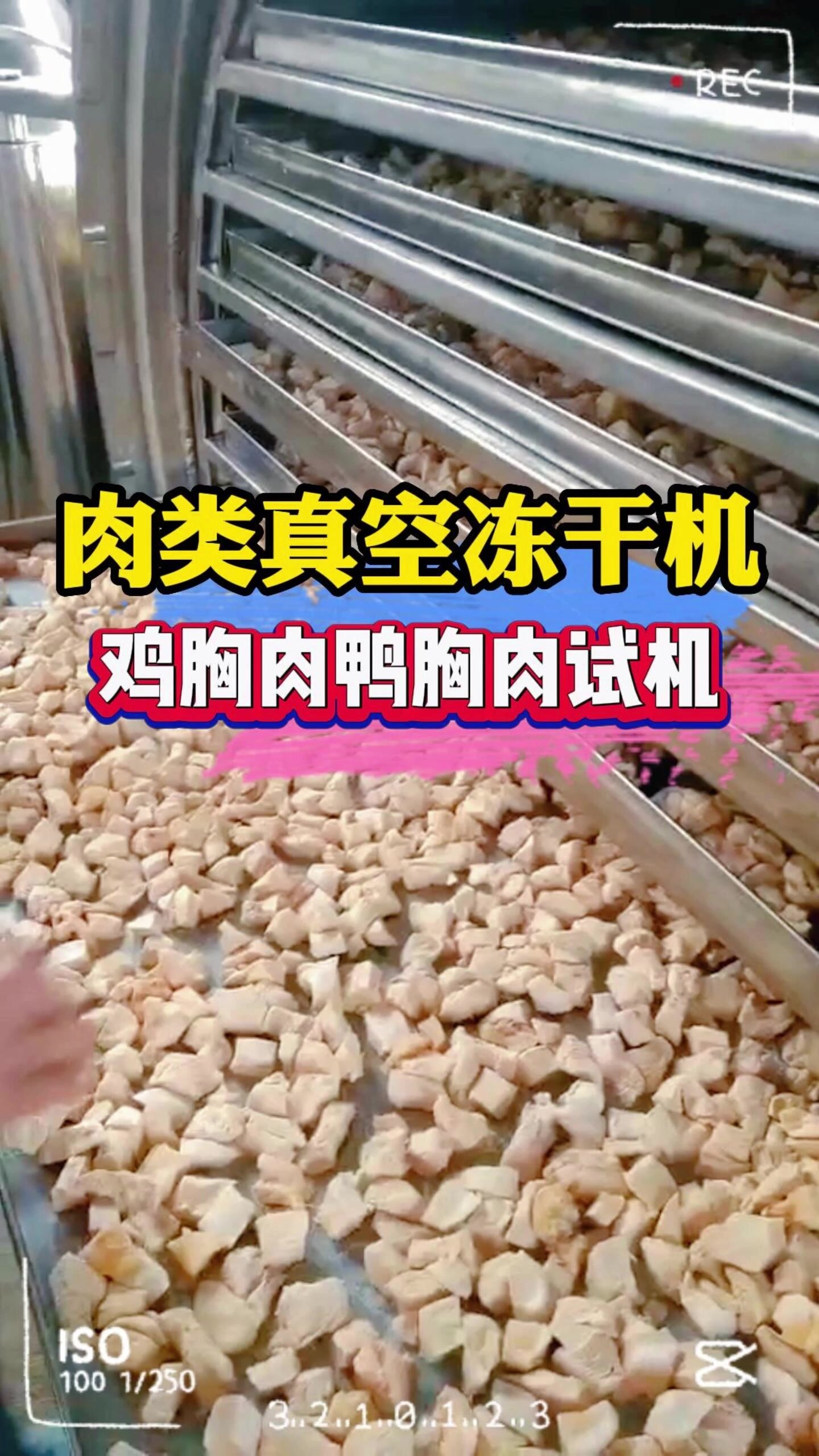 鸡胸肉真空冻干机,鸭胸肉真空冻干设备