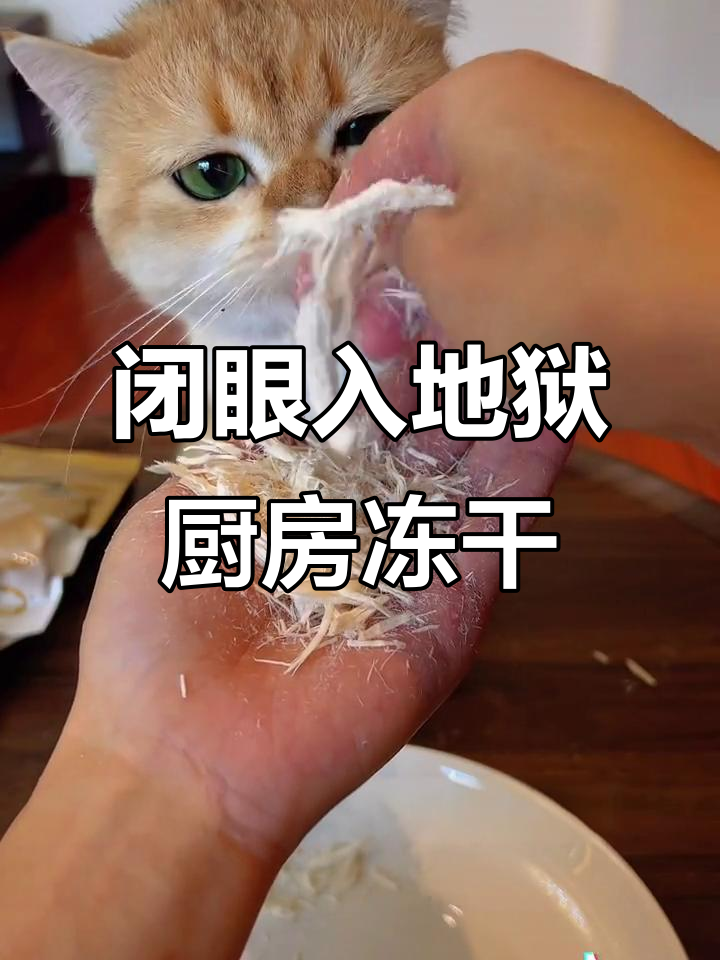 地狱厨房鸡小胸冻干大促，品质超乎想象！