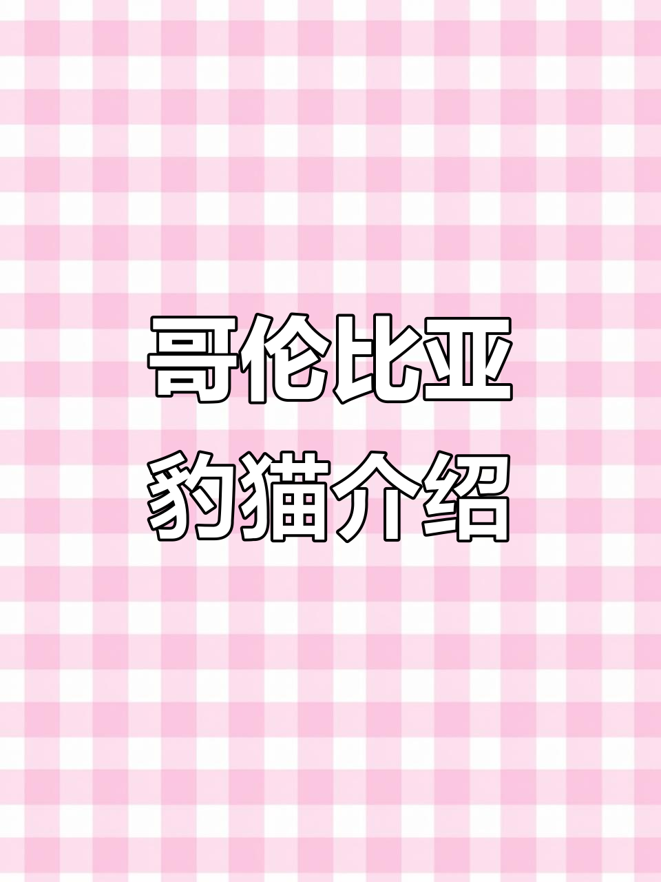 哥伦比亚豹猫:热带观赏鱼中的优雅使者