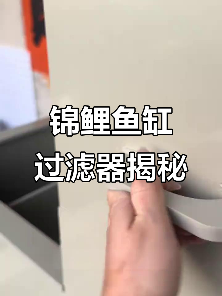 锦鲤鱼池过滤系统全解析:强大上滤与干湿分离设计