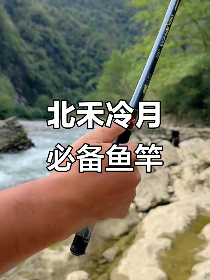 无论你拥有多少鱼竿,这款短节溪流杆必不可缺