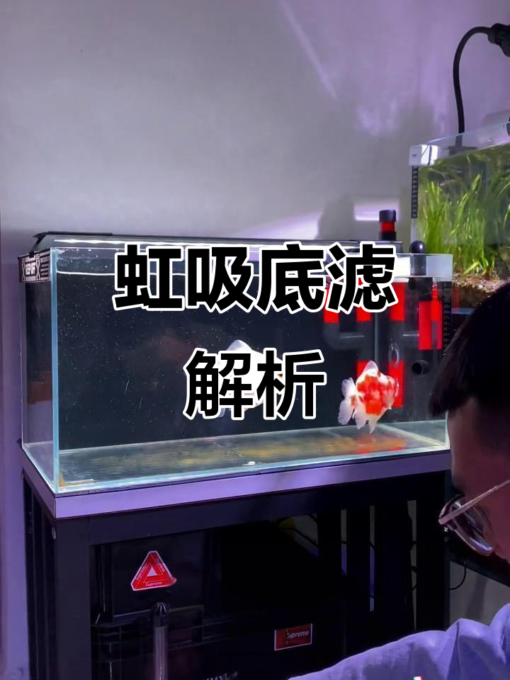 免打孔虹吸底滤,两分钟解答所有疑问!