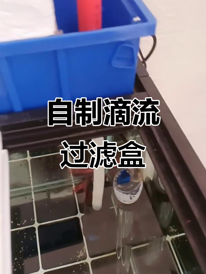 自制鱼缸上滤教程:雨淋式设计全解析