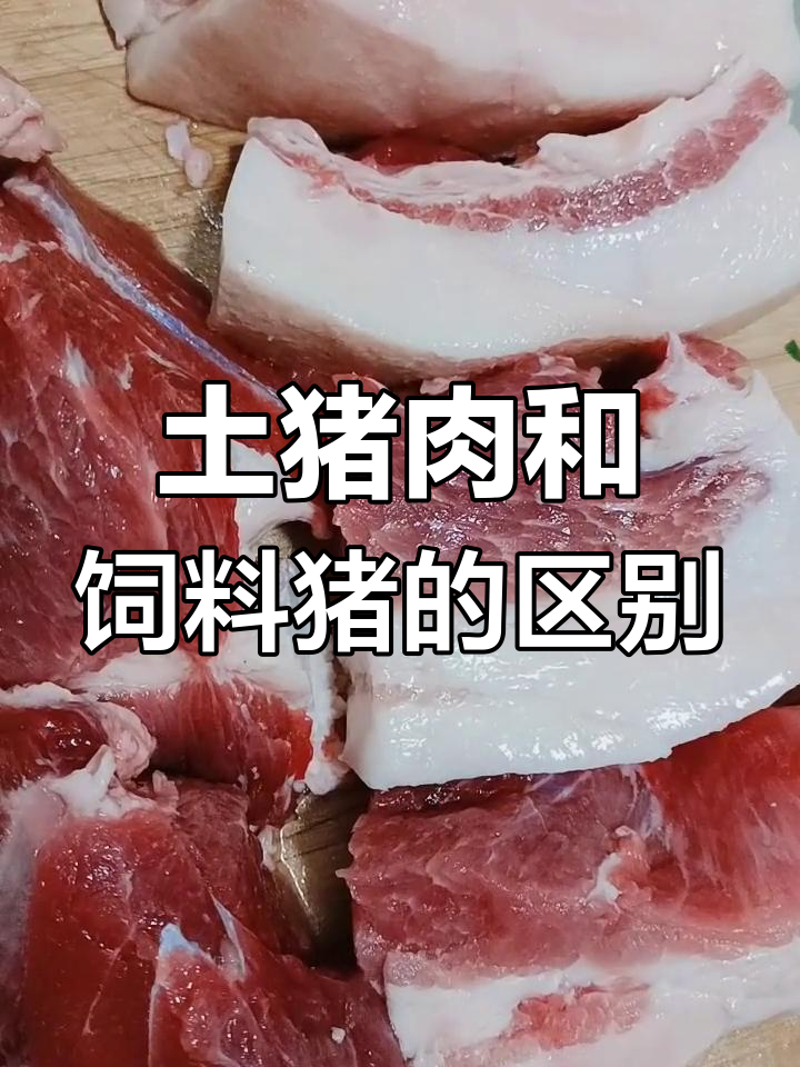 如何区分土猪肉与饲料猪?从喂养时间和肉质特征入手