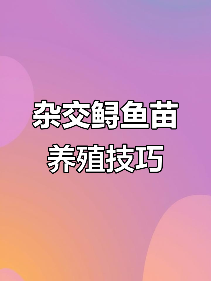 西伯利亚杂交鲟鱼苗,尖嘴鲟养殖技术全解析