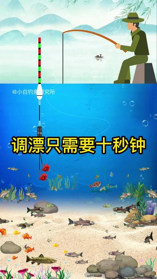 学会这样调漂方法,以后任何的调漂视频都不需要再看了钓鱼调漂