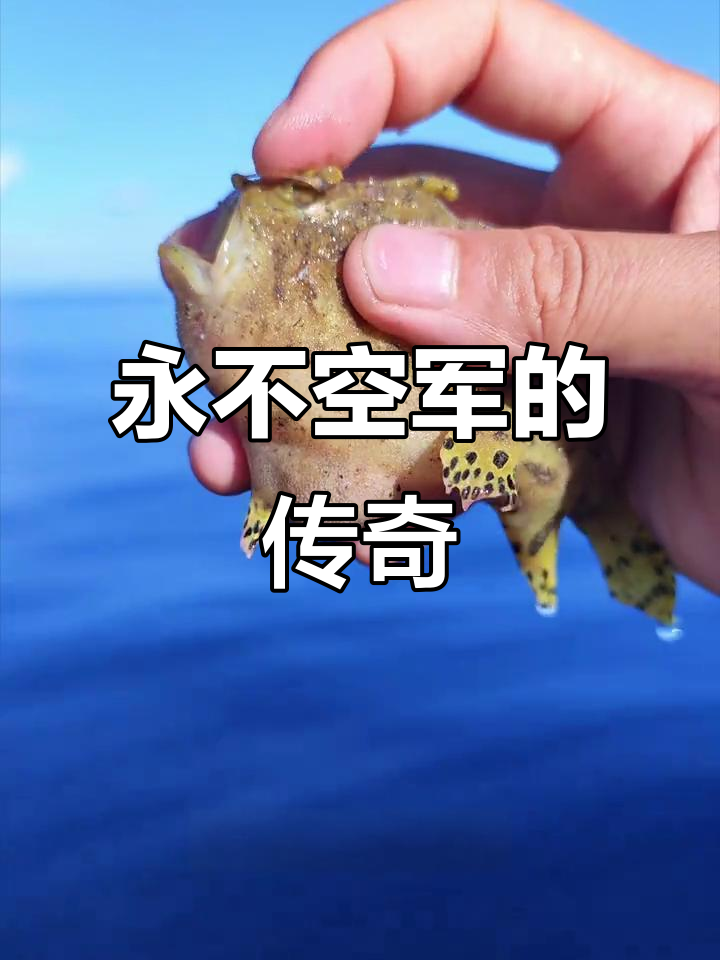 带纹躄鱼：钓鱼界的常胜将军，技能令人惊叹！