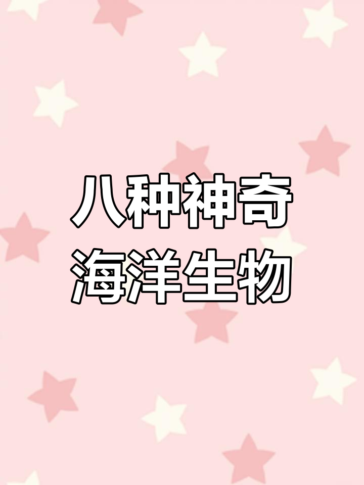 章鱼、墨鱼和乌贼的区别解析