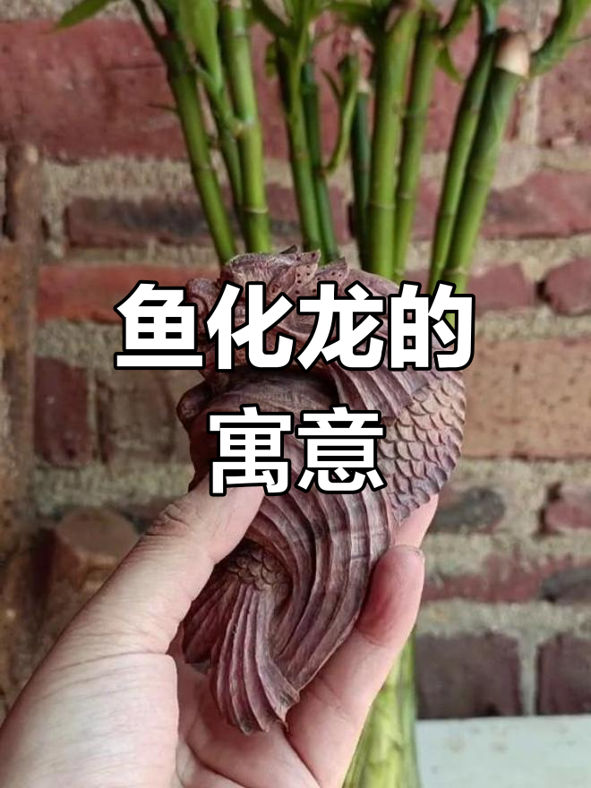 鱼化龙:传统纹样中的鲤跃龙门与蜕变之美