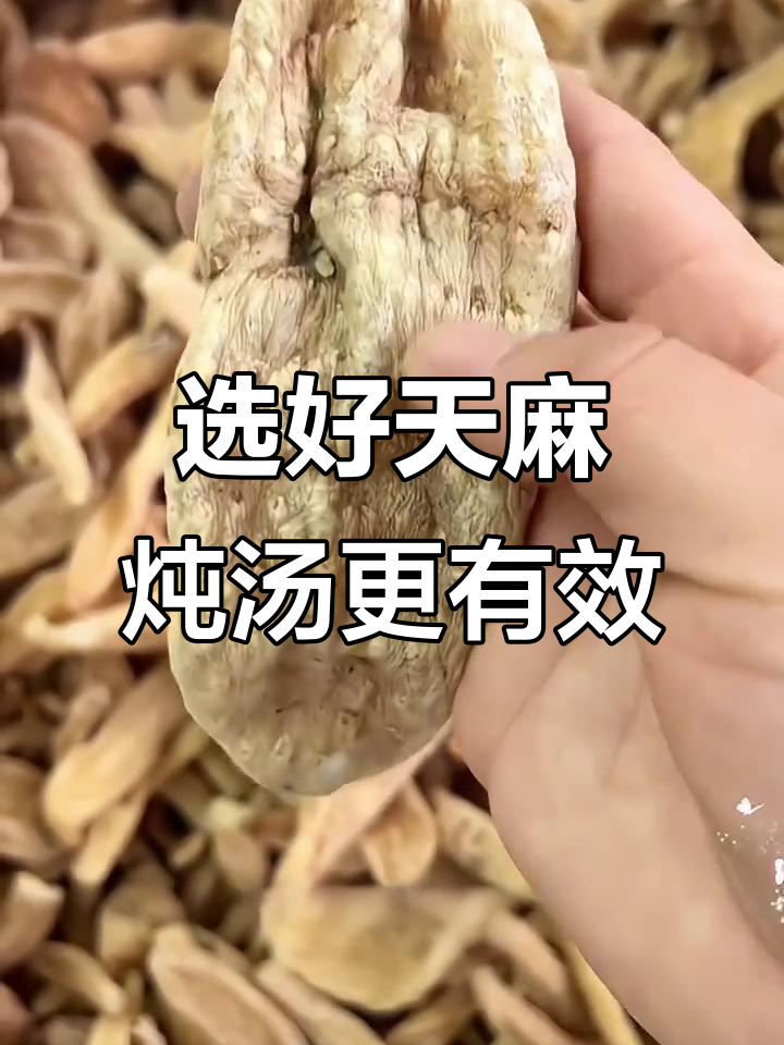 如何挑选优质天麻炖汤?选对品种,效果翻倍