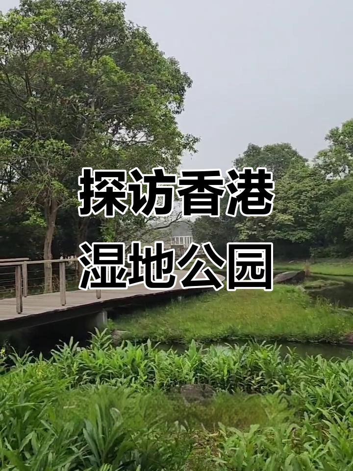 香港湿地公园:观鸟、看鳄鱼,自然体验新去处