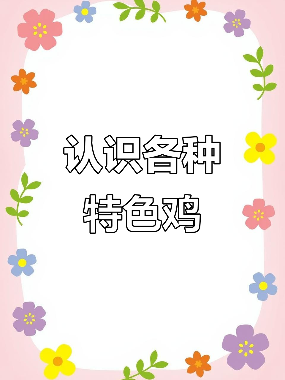 17种不同鸡品种大揭秘，价格差异惊人
