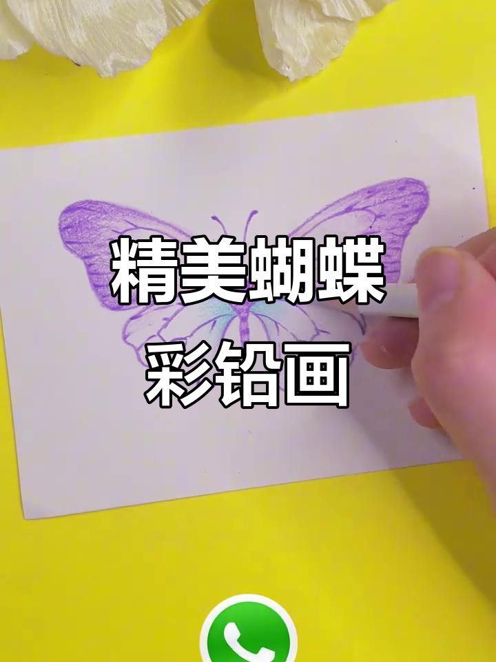 梦幻蝴蝶彩铅画,细节惊艳!