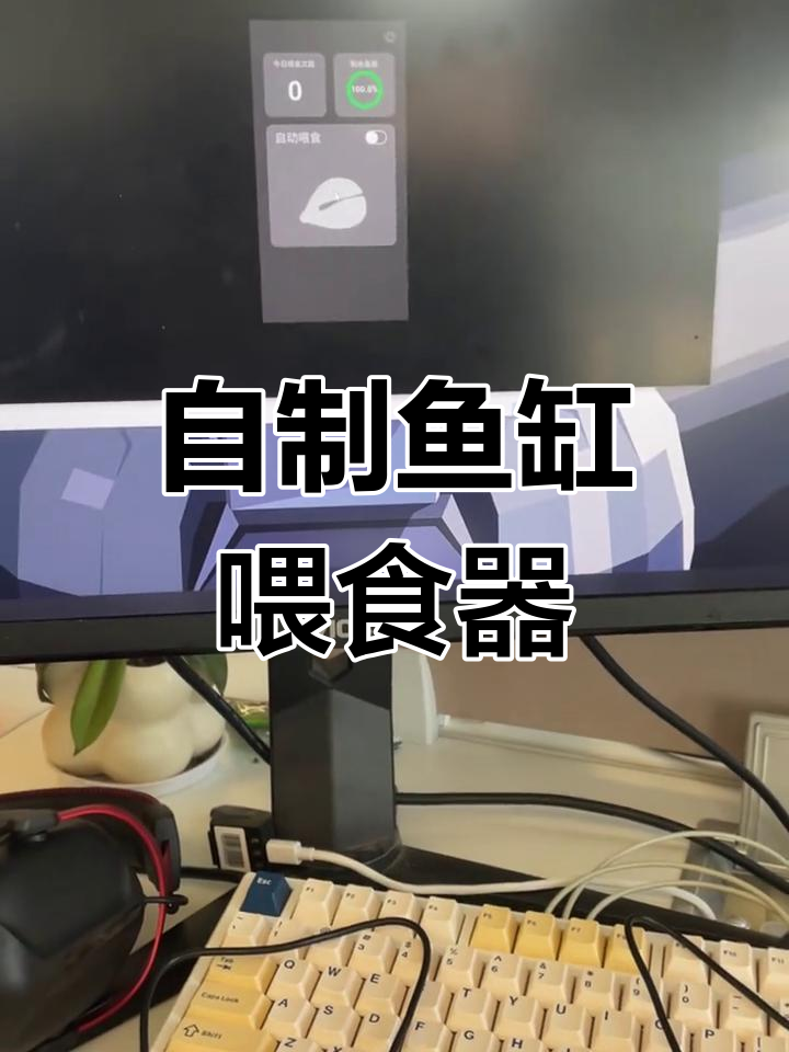 鱼缸自动喂食器DIY教程:硬件与软件全解析