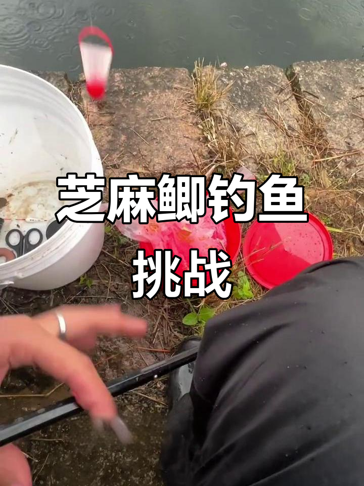 芝麻鲫钓场大作战,溪流沟里的小麦穗和一两小鲫鱼