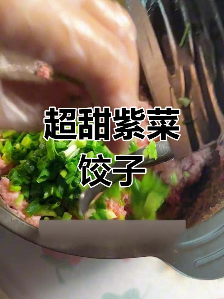 紫菜饺子,鲜美又营养