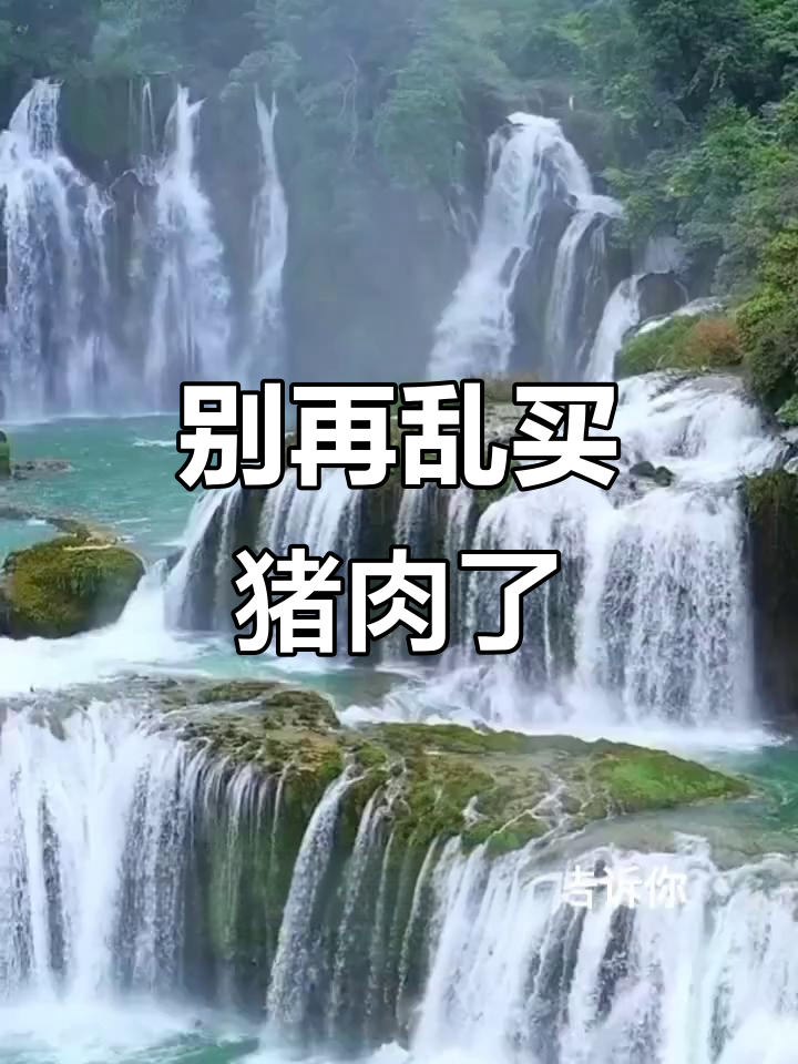 买猪肉时要注意这5个章,别买到禁售的肉