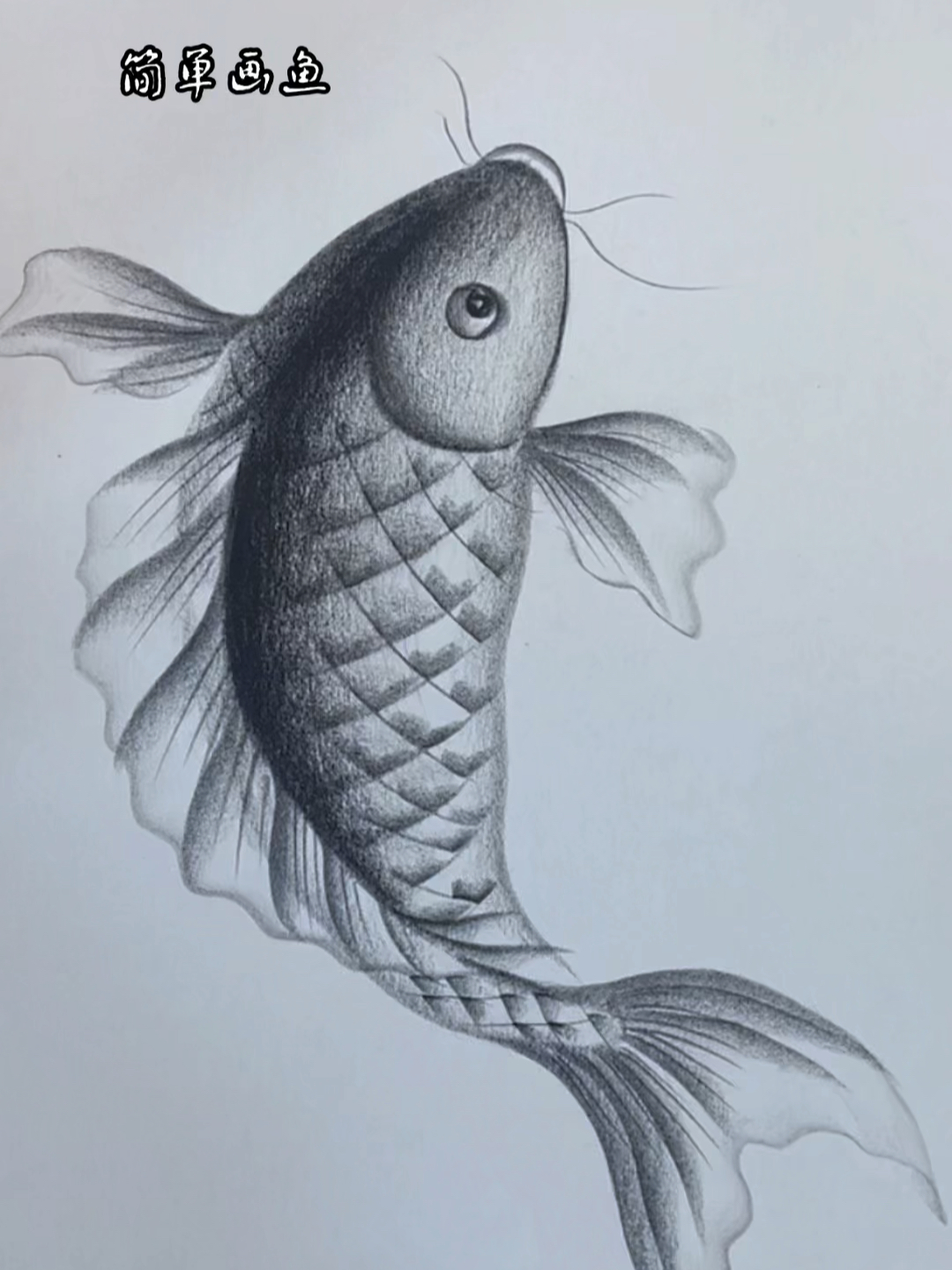 简单画鱼