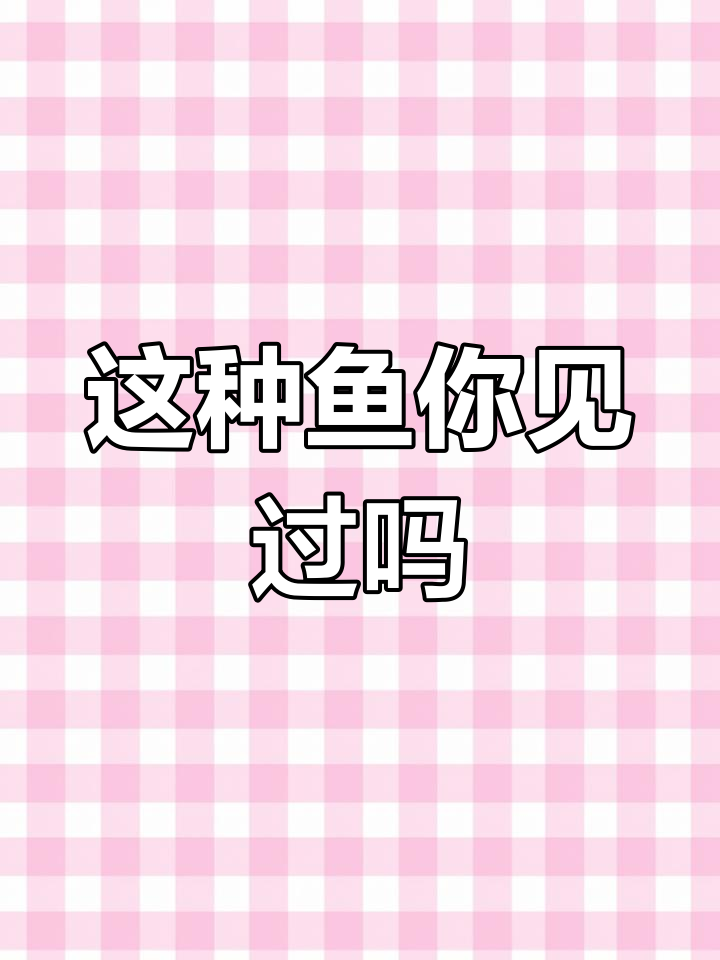 灰白无鳞鱼,长胡须的神秘生物