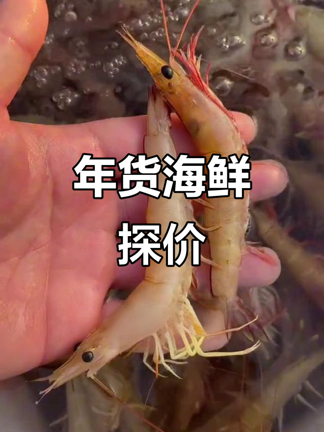 北海海鲜大揭秘:麻虾、八爪鱼、三眼蟹,年货必备美味