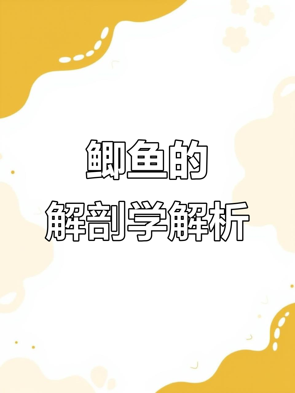七年级生物实验:观察鲫鱼的结构与功能