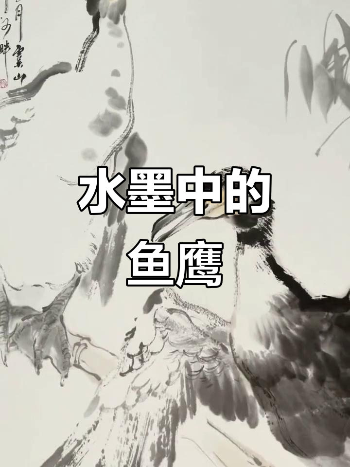鱼鹰水墨画,中国画的魅力展现