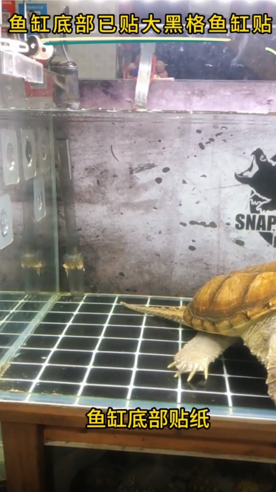 鱼缸底部贴纸定制方格子球场龟箱木纹大理石海鲜池仿瓷砖背景高清