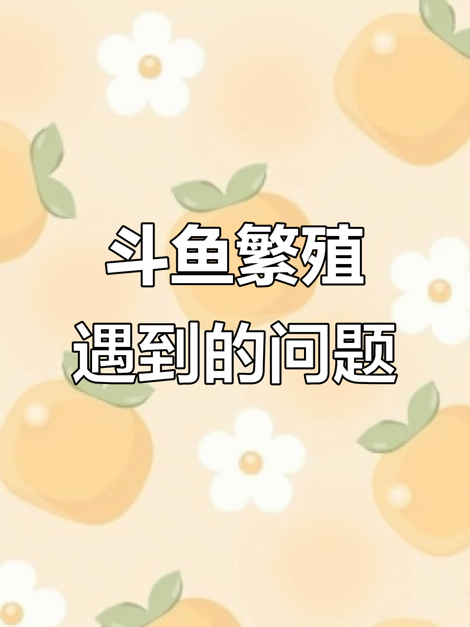 泰国斗鱼产卵过程大揭秘,石头铺多了竟有隐患
